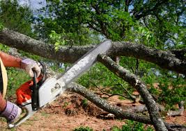 Lawn Watering Services in Buena Vista, CO